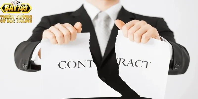 quyen-va-nghia-vu-cua-nguoi-dung-khi-tham-gia-bay789 Quyền và nghĩa vụ của người dùng khi tham gia Bay789