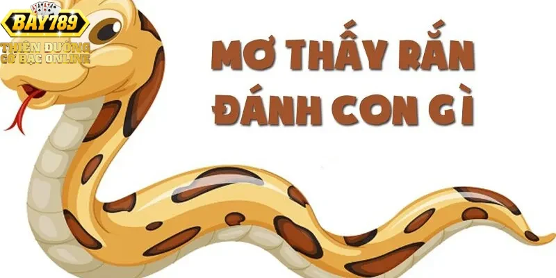 luu-y-va-kinh-nghiem-khi-dua-vao-giac-mo-thay-ran-trong-choi-xo-so-lien-ket-voi-blog-xo-so Lưu ý và kinh nghiệm khi dựa vào giấc mơ thấy rắn trong chơi xổ số, liên kết với blog xổ số